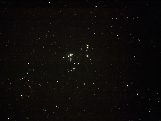 37 Cluster,NGC 2169