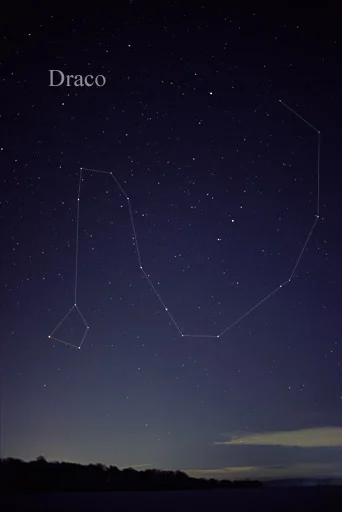dragon constellation