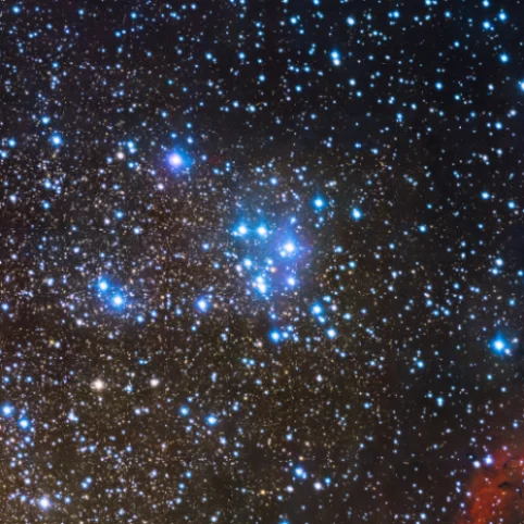 m18,m18 cluster