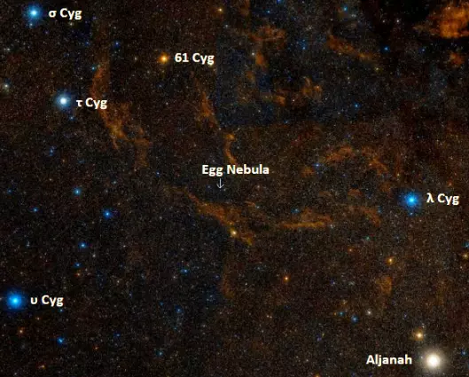 how to find egg nebula