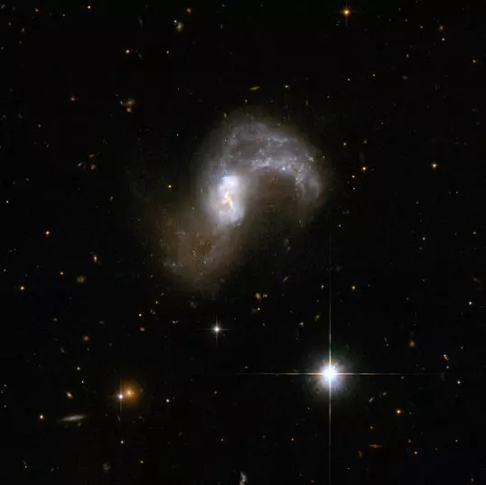 interacting galaxies in antlia