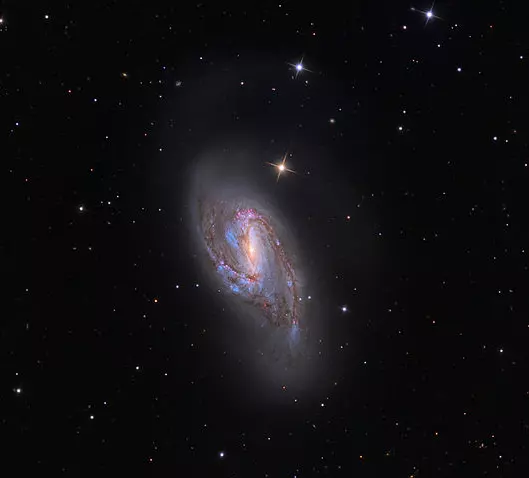 m66,m66 galaxy,leo triplet of galaxies