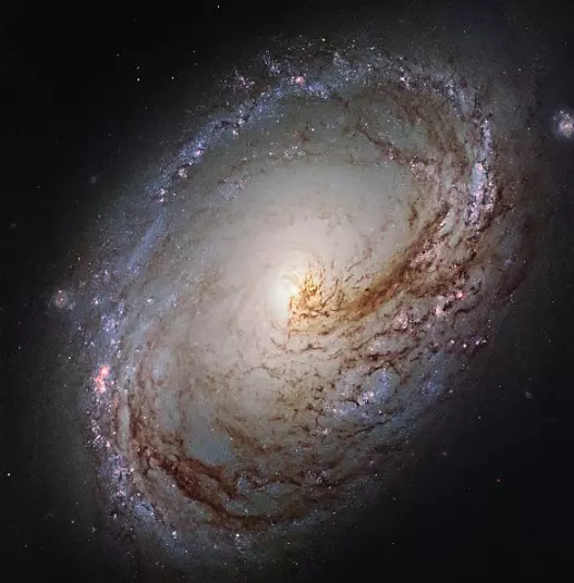 m96,m96 galaxy
