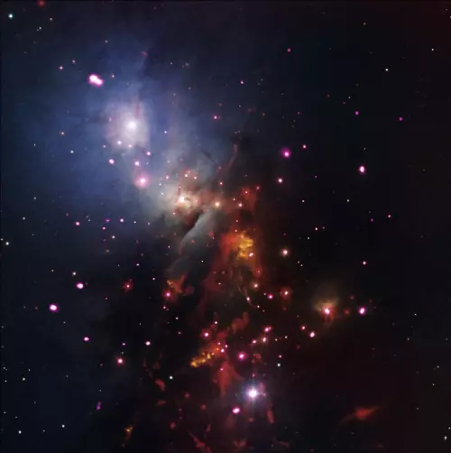ngc 1333 cluster