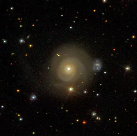 spiral galaxy in canis minor