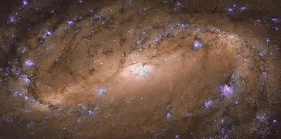 ngc 2903 galaxy