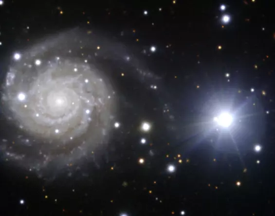 spiral galaxy in antlia