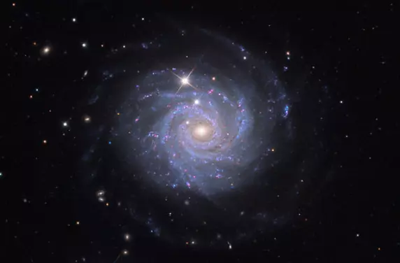 spiral galaxy in leo minor