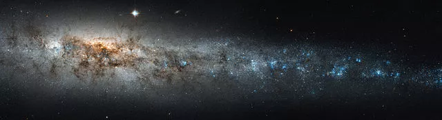 whale galaxy