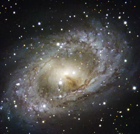 spiral galaxy in ara