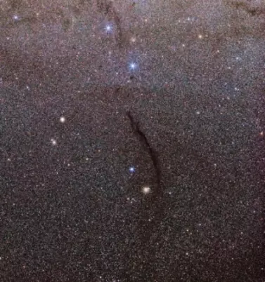 dark nebula in musca