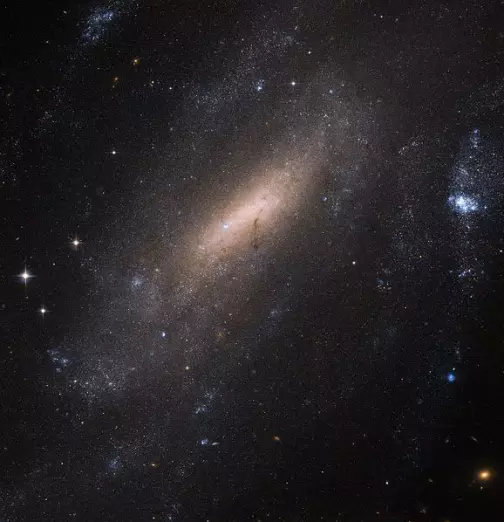 barred spiral galaxy in grus