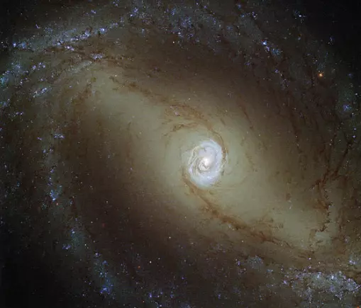 barred spiral galaxy in horologium