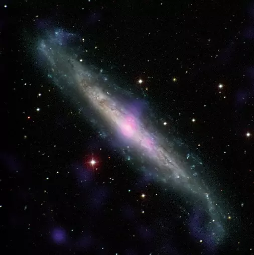 spiral galaxy in horologium