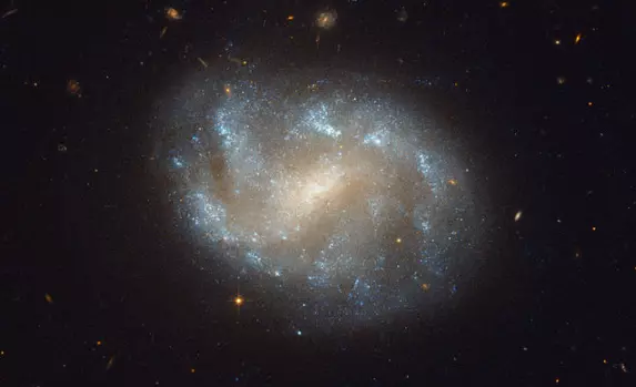 spiral galaxy in horologium constellation