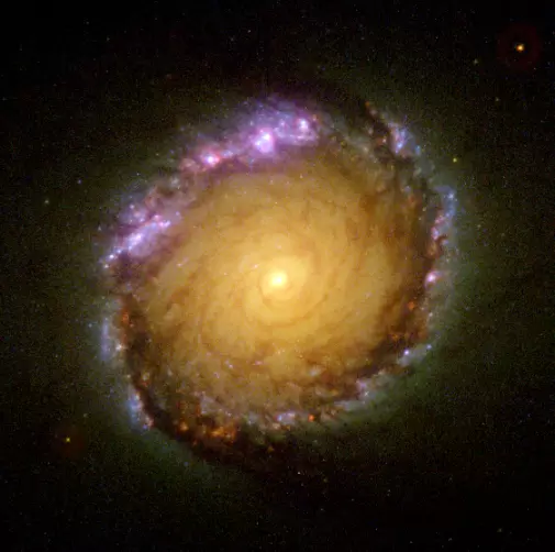 barred spiral galaxy in Horologium