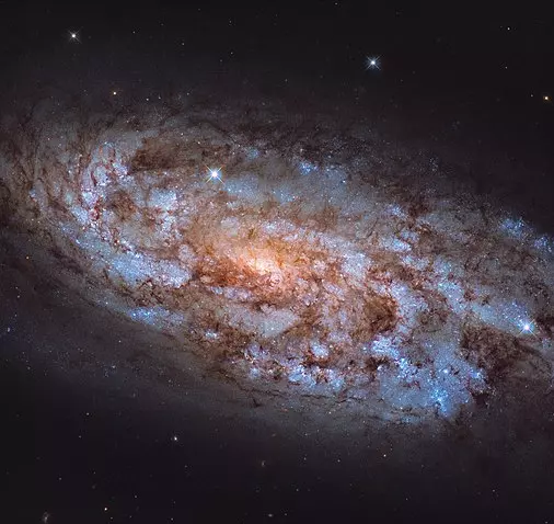 spiral galaxy in the constellation columba