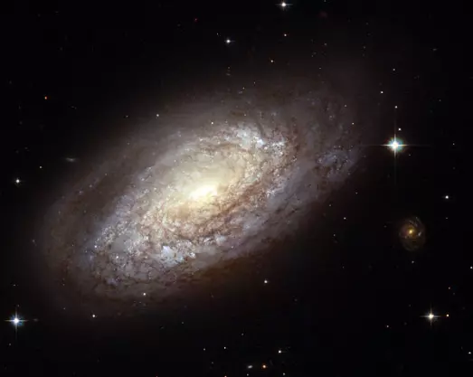 spiral galaxy in volans