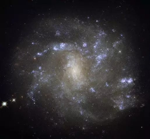 barred spiral galaxy in lynx constellation