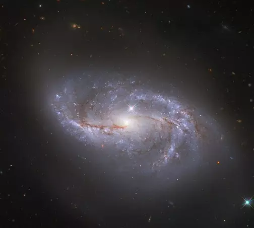 spiral galaxy in the constellation cancer