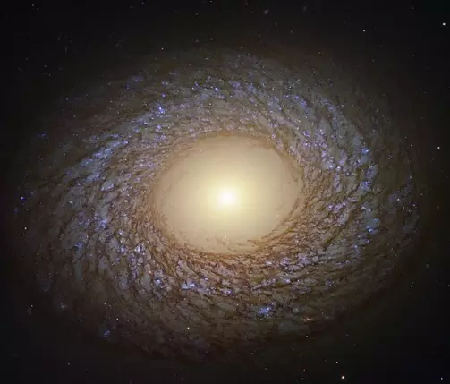 spiral galaxy in cancer