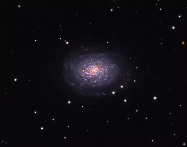 spiral galaxy in serpens