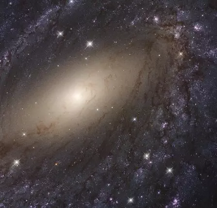 spiral galaxy in pavo