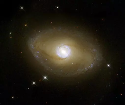 barred spiral galaxy in pavo constellation