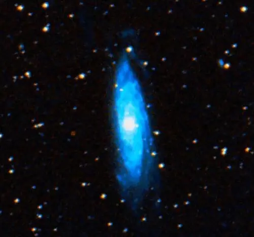 barred spiral galaxy in Microscopium