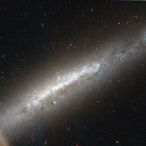 barred spiral galaxy in grus constellation