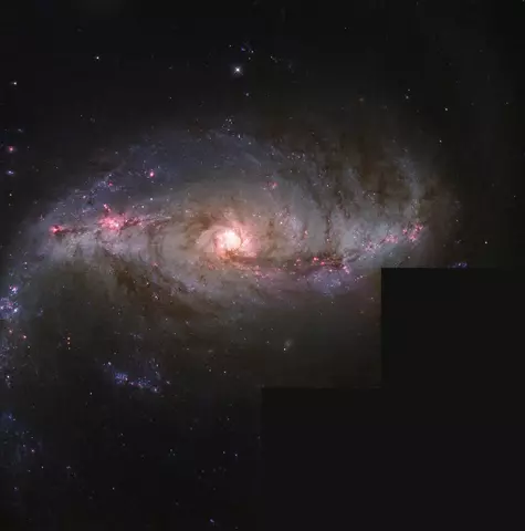 spiral galaxy in grus 