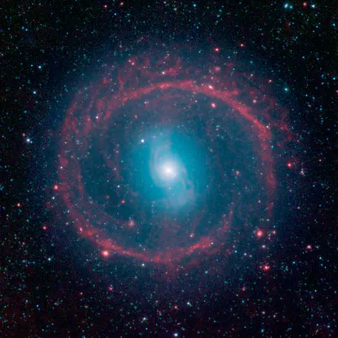 ring galaxy in eridanus