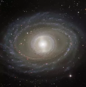 barred spiral galaxy in fornax