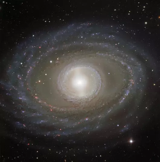barred spiral galaxy in fornax