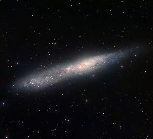 whale galaxy,southern cigar galaxy