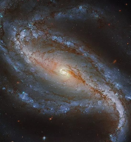 barred spiral galaxy in sculptor