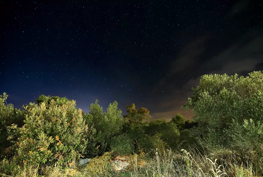 big dipper,little dipper,ursa major,ursa minor