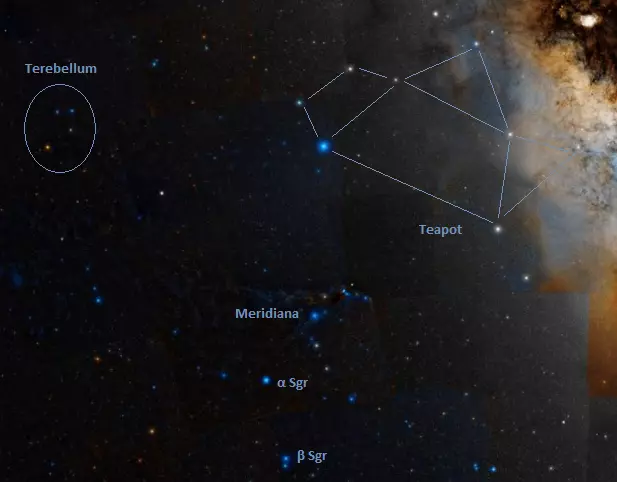 terebellum asterism