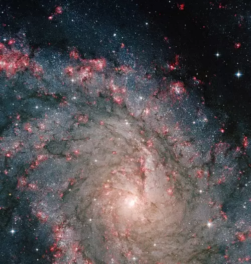 ngc 6946,caldwell 12,starburst galaxy