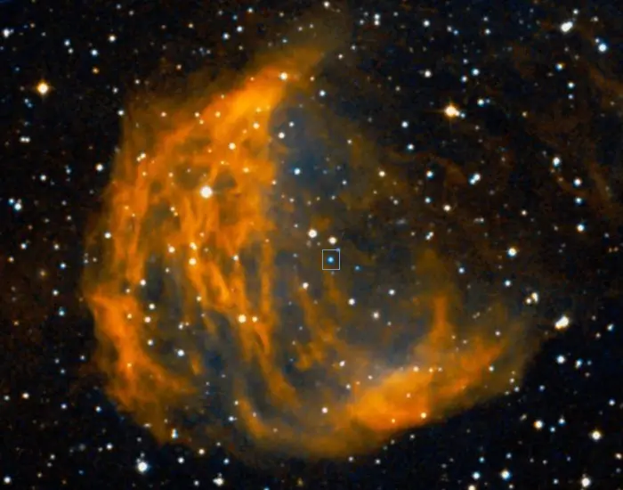 WD0726+133,central star of the medusa nebula,white dwarf