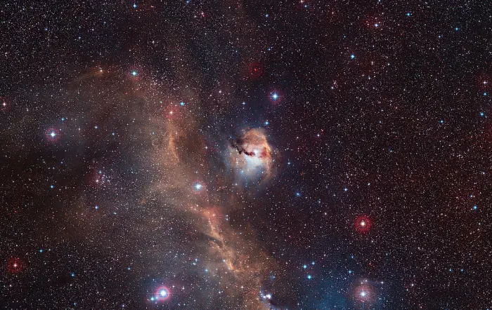 seagull nebula,ic 2177