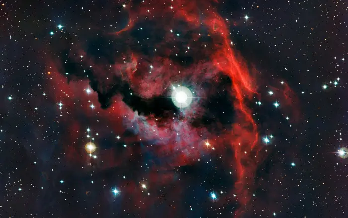 seagull's head,seagull nebula,ic 2177