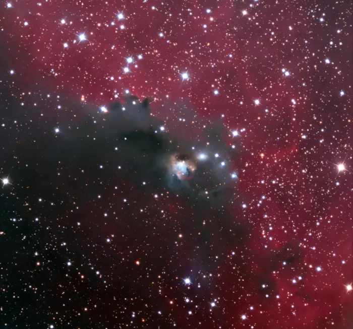 ngc 2327,head of the seagull