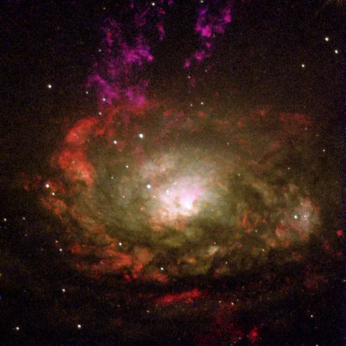 circinus galaxy hubble space telescope,circinus galaxy hst