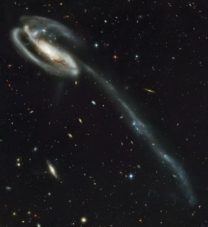 tadpole galaxy hubble space telescope