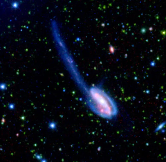 tadpole galaxy infrared