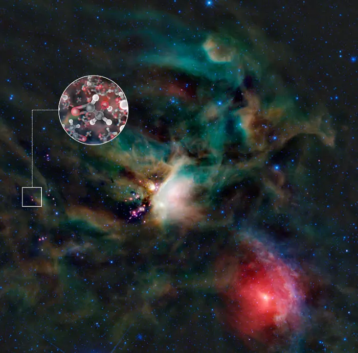 protostars in rho ophiuchi region