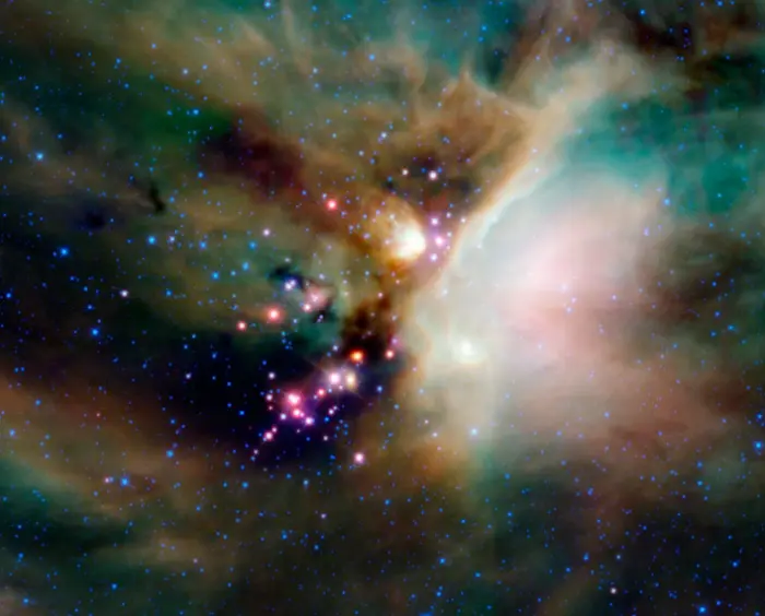 young stellar objects in the rho ophiuchi cloud complex