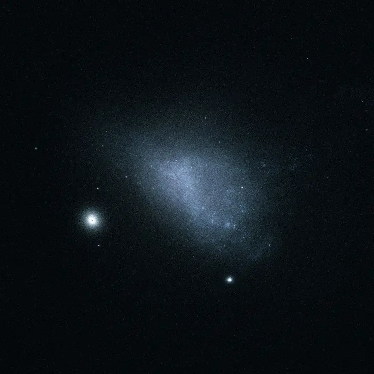small magellanic cloud and 47 tucanae