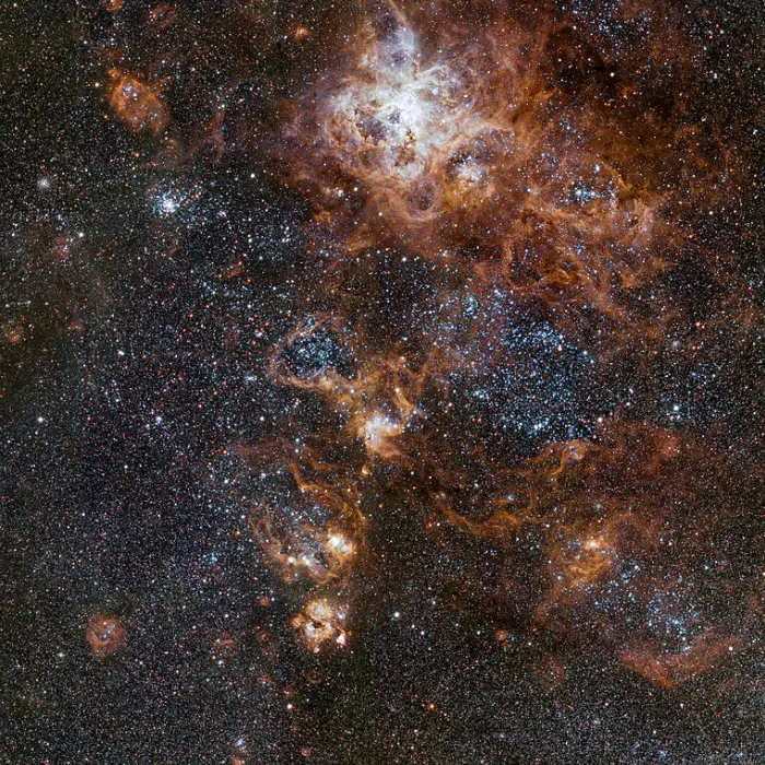 tarantula nebula,ghost head nebula,large magellanic cloud nebulae,large magellanic cloud